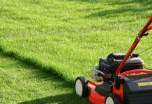 Pelouse : Entretien d’une pelouse
