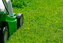 Comment semer gazons et pelouses ?