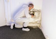 Un nettoyage efficace contre les moisissures