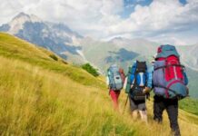 Comment organiser son roadtrip ?