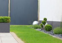 Comment semer son gazon ?