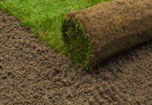 Comment préparer son terrain avant de poser du gazon ?