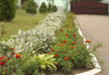 quelle est la meilleure saison ?