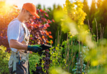 Aménagement paysager : Qu’est qu’un paysagiste ?