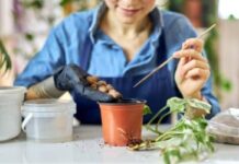 Comment créer une composition florale saisonnière ?