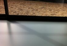 La rénovation de sols : un sol en résine pour un quotidien confortable